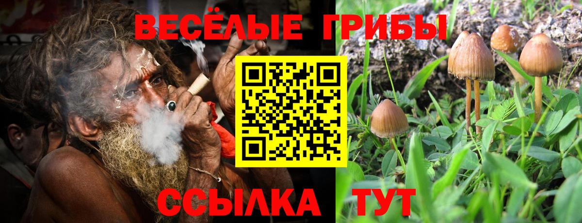 Псилоцибиновые грибы ЛСД Салехард